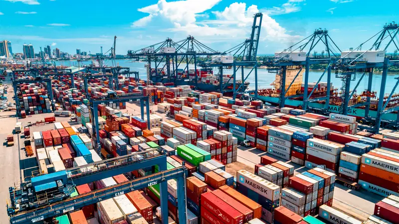 Container ship and cranes at a trade port